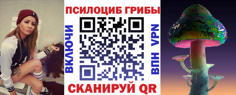 блэк спрут сайт  магазин продажи   Дятьково  Галлюциногенные грибы Psilocybine cubensis 